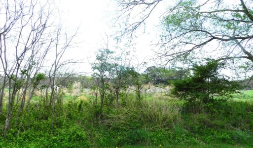 Photo #2 of Lot 158 SPOONBILL LN, MACHIPONGO, VA 0.8 acres