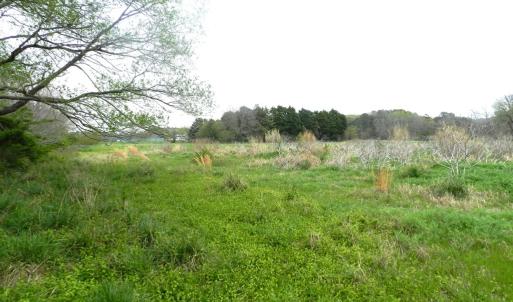 Photo #3 of Lot 158 SPOONBILL LN, MACHIPONGO, VA 0.8 acres