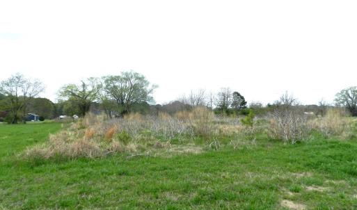 Photo #4 of Lot 158 SPOONBILL LN, MACHIPONGO, VA 0.8 acres