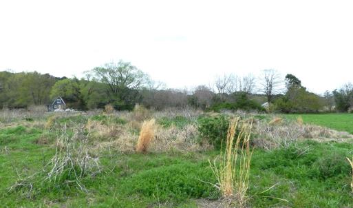 Photo #5 of Lot 158 SPOONBILL LN, MACHIPONGO, VA 0.8 acres