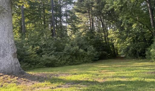 Photo #3 of BOSTON RD, PAINTER, VA 9.8 acres