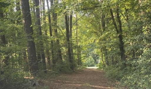 Photo #5 of BOSTON RD, PAINTER, VA 9.8 acres