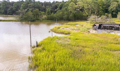 Photo #14 of lot 3 ADAMS HILL DR, ACCOMAC, VA 2.5 acres
