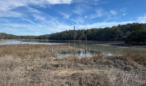 Photo #18 of lot 3 ADAMS HILL DR, ACCOMAC, VA 2.5 acres