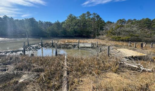 Photo #19 of lot 3 ADAMS HILL DR, ACCOMAC, VA 2.5 acres