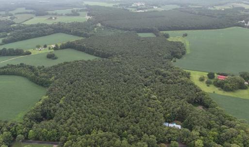 Photo #2 of Lot 3 RACE TRACK RD, MELFA, VA 2.2 acres