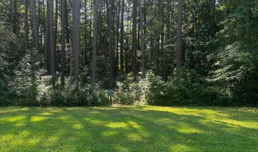 Photo #6 of 101 COVENTON LANE, HORNTOWN, VA 3.0 acres