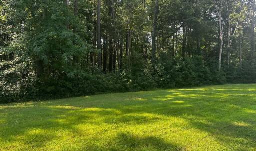 Photo #7 of 101 COVENTON LANE, HORNTOWN, VA 3.0 acres