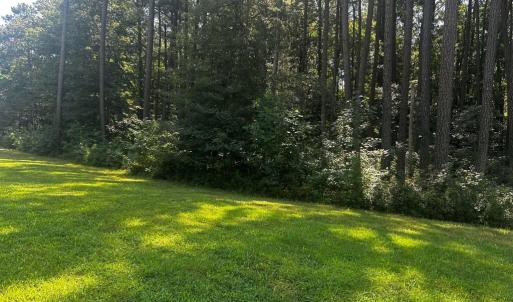Photo #3 of 102 COVENTON LANE, HORNTOWN, VA 3.0 acres