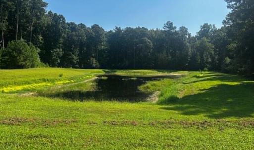 Photo #3 of 101-102 COVENTON LANE, HORNTOWN, VA 6.0 acres