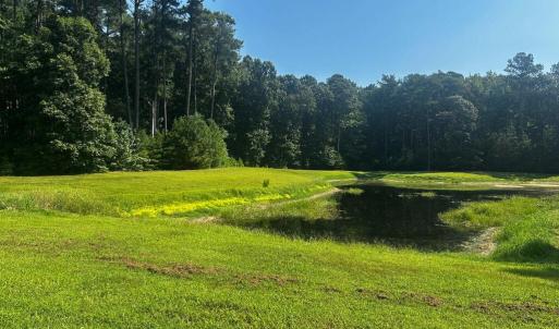 Photo #4 of 101-102 COVENTON LANE, HORNTOWN, VA 6.0 acres
