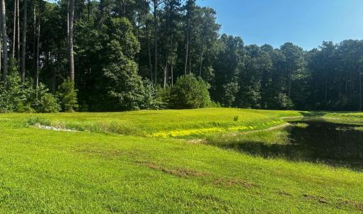 Photo #5 of 101-102 COVENTON LANE, HORNTOWN, VA 6.0 acres