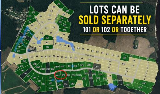 Photo #8 of 101-102 COVENTON LANE, HORNTOWN, VA 6.0 acres