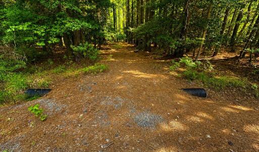 Photo #2 of 34 PINEY LN, PAINTER, VA 3.0 acres