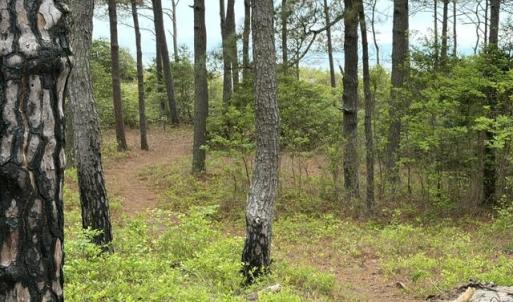 Photo #2 of 1403 SAVAGE NECK RD, EASTVILLE, VA 100.0 acres
