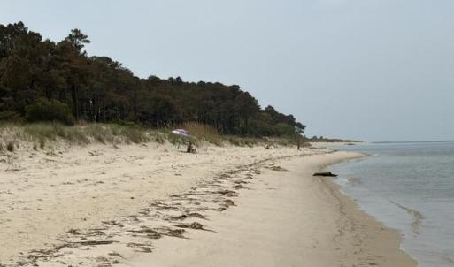 Photo #7 of 1403 SAVAGE NECK RD, EASTVILLE, VA 100.0 acres