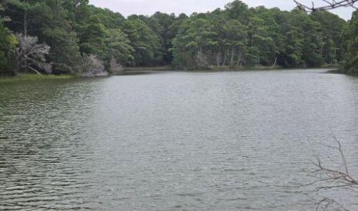 Photo #10 of Lot1-A-1 OLD NECK RD, EXMORE, VA 30.0 acres