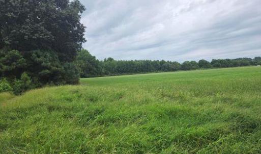 Photo #11 of Lot1-A-1 OLD NECK RD, EXMORE, VA 30.0 acres