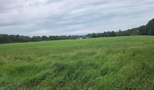 Photo #12 of Lot1-A-1 OLD NECK RD, EXMORE, VA 30.0 acres