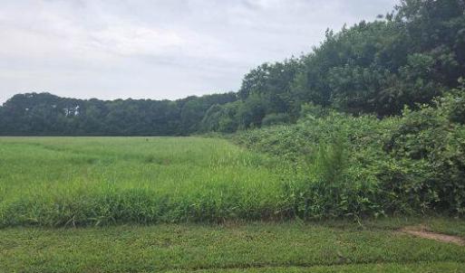 Photo #13 of Lot1-A-1 OLD NECK RD, EXMORE, VA 30.0 acres