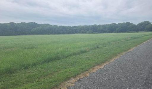 Photo #14 of Lot1-A-1 OLD NECK RD, EXMORE, VA 30.0 acres