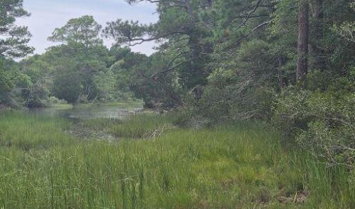 Photo #2 of Lot1-A-1 OLD NECK RD, EXMORE, VA 30.0 acres