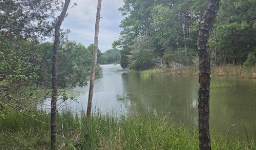 Photo #3 of Lot1-A-1 OLD NECK RD, EXMORE, VA 30.0 acres
