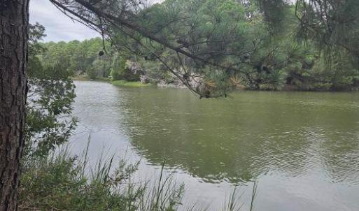 Photo #5 of Lot1-A-1 OLD NECK RD, EXMORE, VA 30.0 acres