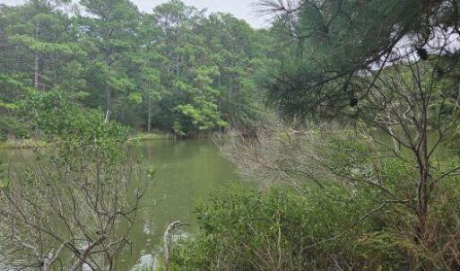 Photo #6 of Lot1-A-1 OLD NECK RD, EXMORE, VA 30.0 acres