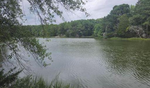 Photo #7 of Lot1-A-1 OLD NECK RD, EXMORE, VA 30.0 acres