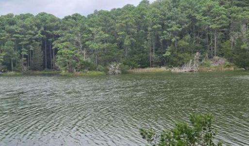 Photo #8 of Lot1-A-1 OLD NECK RD, EXMORE, VA 30.0 acres