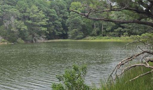 Photo #9 of Lot1-A-1 OLD NECK RD, EXMORE, VA 30.0 acres