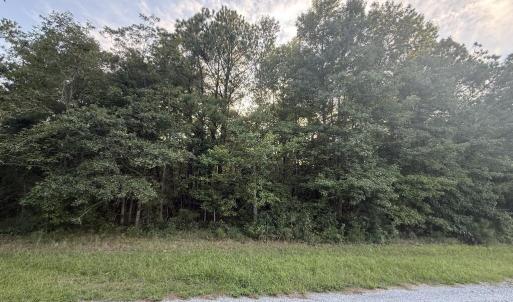Photo #2 of Lot 10 HERON HILL LANE, BELLE HAVEN, VA 3.1 acres