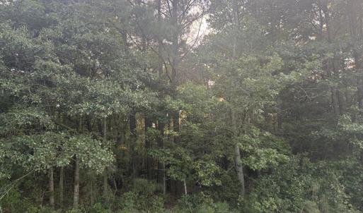 Photo #3 of Lot 10 HERON HILL LANE, BELLE HAVEN, VA 3.1 acres