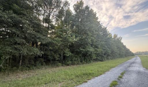 Photo #4 of Lot 10 HERON HILL LANE, BELLE HAVEN, VA 3.1 acres