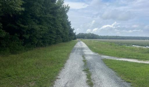 Photo #7 of Lot 10 HERON HILL LANE, BELLE HAVEN, VA 3.1 acres