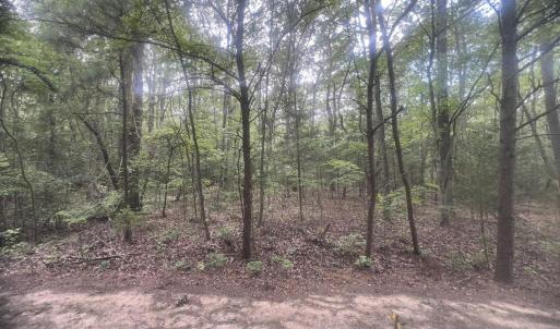 Photo #8 of Lot 10 HERON HILL LANE, BELLE HAVEN, VA 3.1 acres