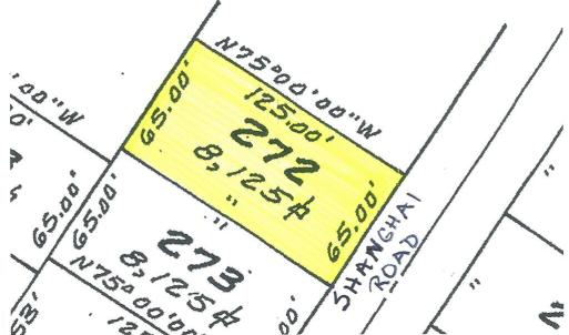 Photo #2 of 272 SHANGHAI RD, GREENBACKVILLE, VA 65.0 acres