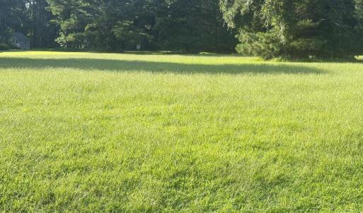 Photo #2 of Lot 298 UNDERWAY RD, GREENBACKVILLE, VA 9,750.0 acres