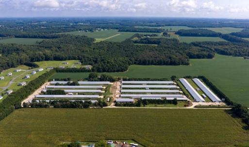 Photo #10 of 21213 BIG FARM RD, MELFA, VA 22.9 acres