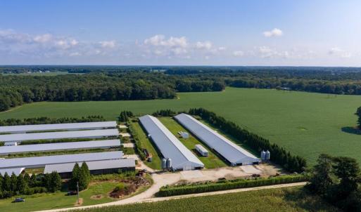 Photo #11 of 21213 BIG FARM RD, MELFA, VA 22.9 acres