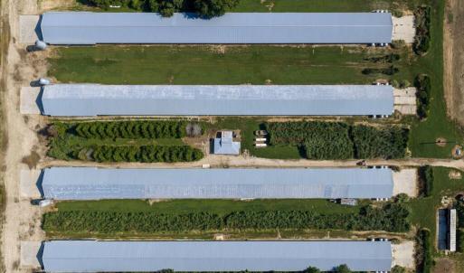 Photo #12 of 21213 BIG FARM RD, MELFA, VA 22.9 acres