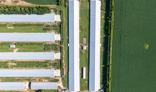 Photo #13 of 21213 BIG FARM RD, MELFA, VA 22.9 acres