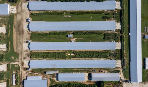 Photo #14 of 21213 BIG FARM RD, MELFA, VA 22.9 acres