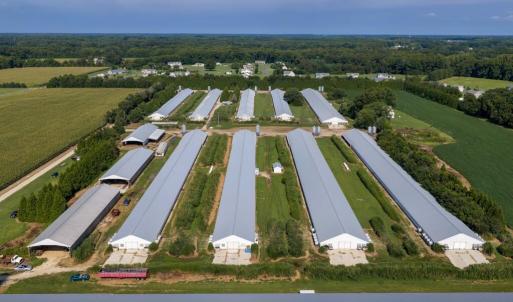 Photo #15 of 21213 BIG FARM RD, MELFA, VA 22.9 acres