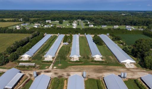 Photo #16 of 21213 BIG FARM RD, MELFA, VA 22.9 acres
