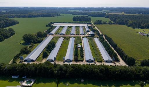 Photo #2 of 21213 BIG FARM RD, MELFA, VA 22.9 acres