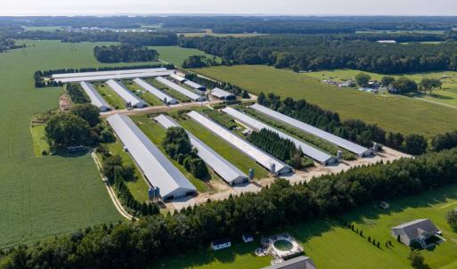 Photo #3 of 21213 BIG FARM RD, MELFA, VA 22.9 acres
