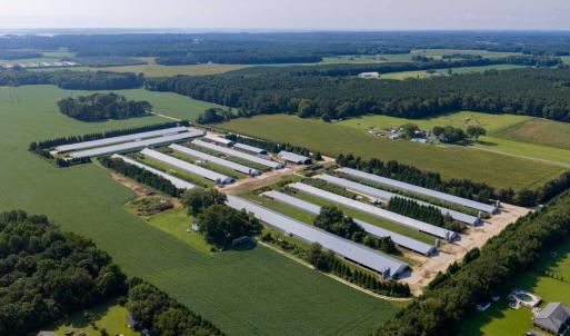 Photo #4 of 21213 BIG FARM RD, MELFA, VA 22.9 acres