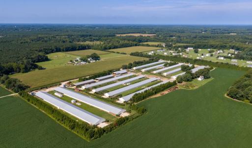 Photo #6 of 21213 BIG FARM RD, MELFA, VA 22.9 acres